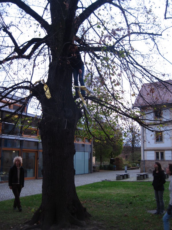 Baum abhängen