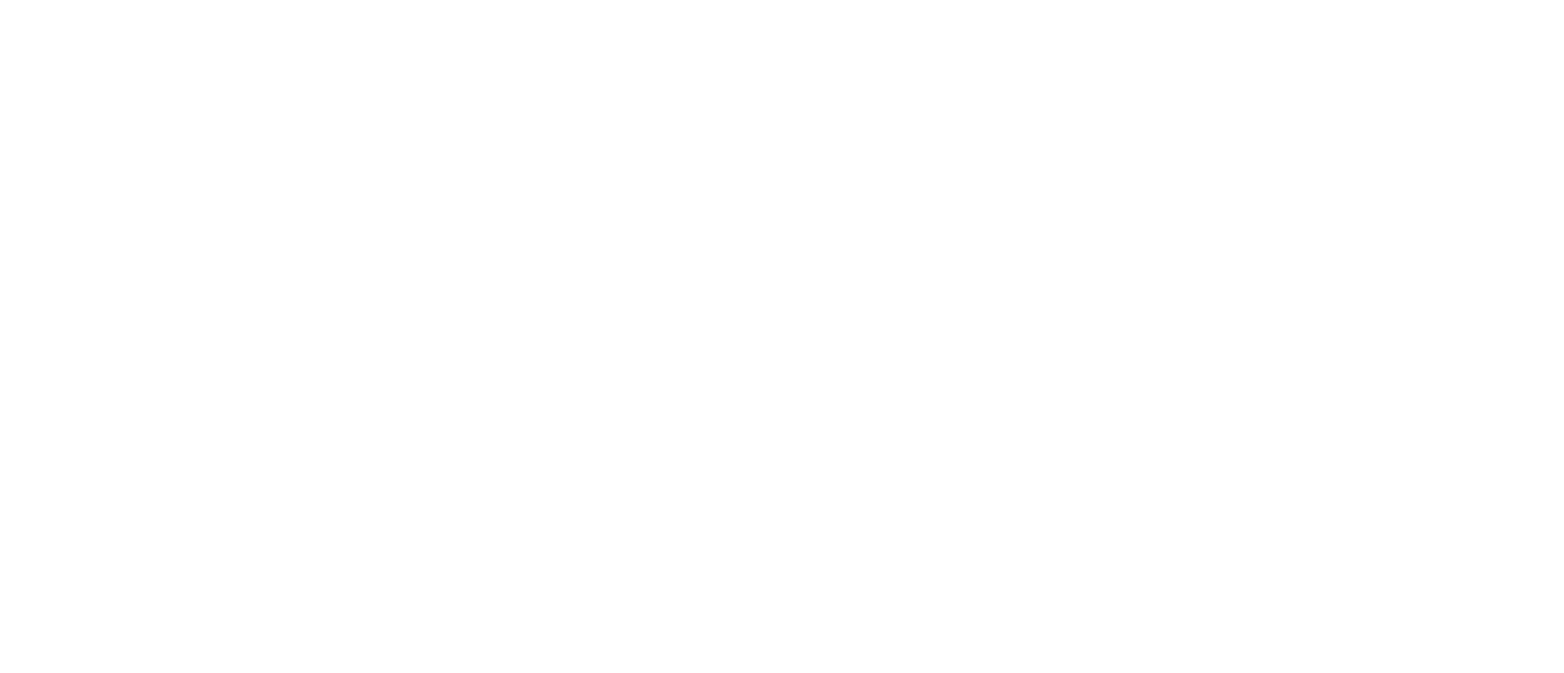Logo, horizontal, weiß (.png) 