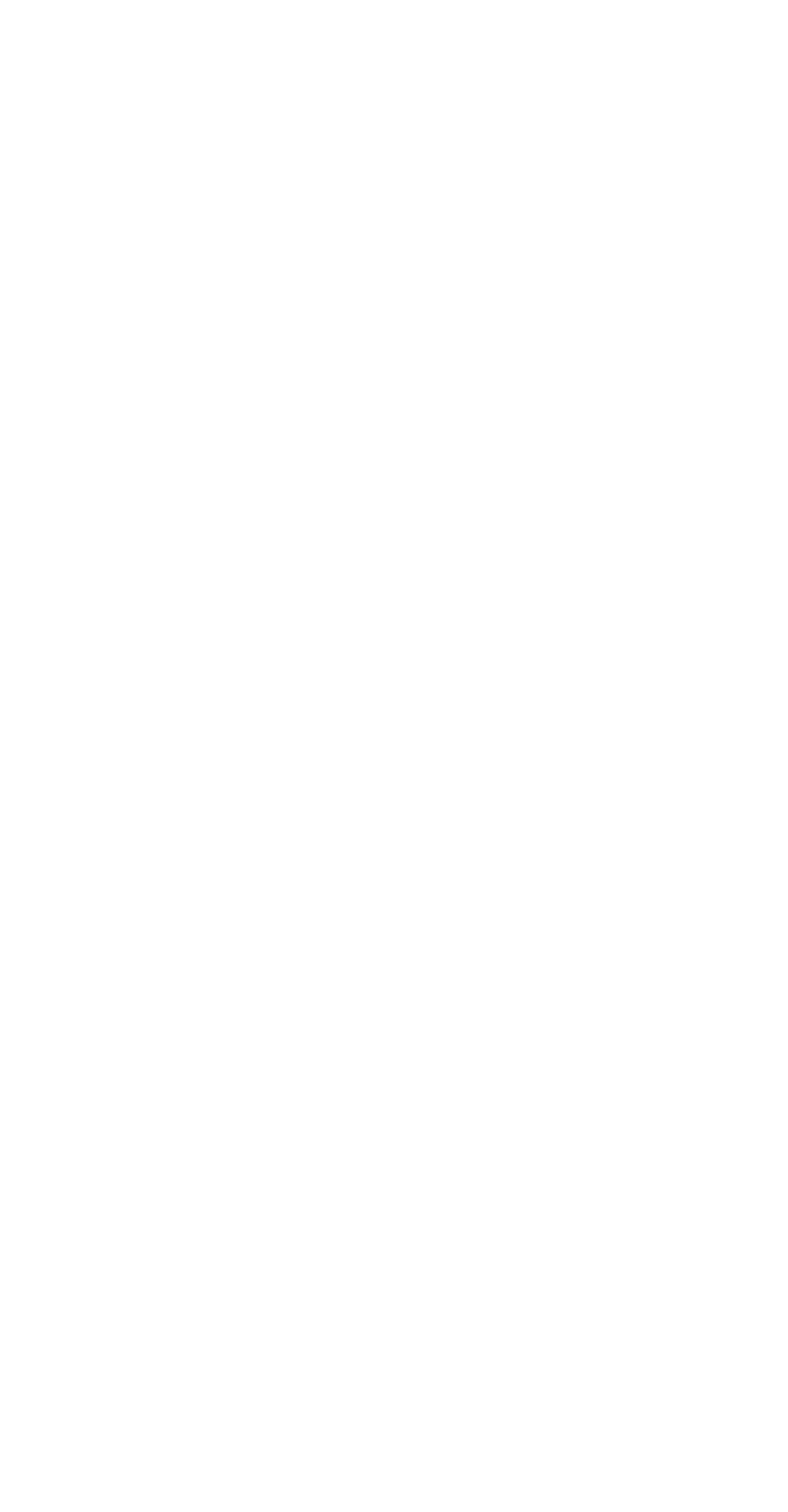 Logo des StuRa HTW Dresden, Bild- und Wortmarke in vertikaler Ausrichtung, 2748x5267 px