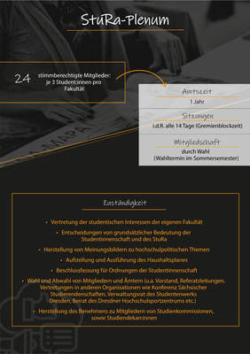 Plakat Vorstellung Plenum StuRa 2024 (.png)